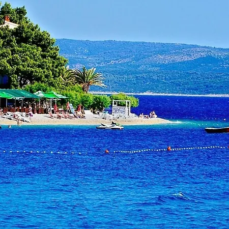 New Seaview Celina